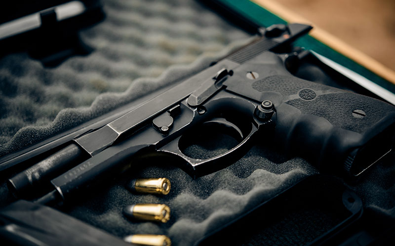 wht you should get a gun safes in your home 