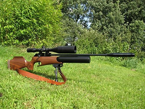 best hunting air rifle 2022